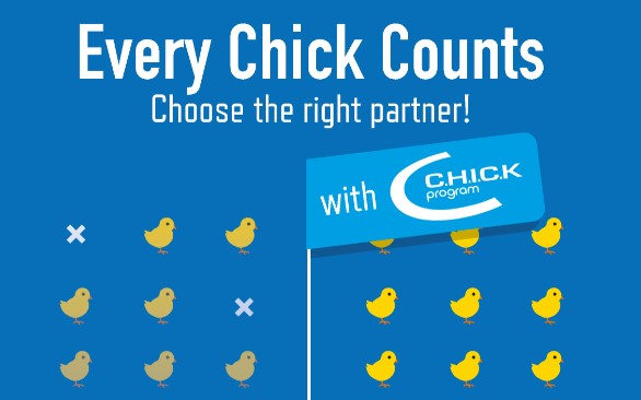 CHICK Program new visual