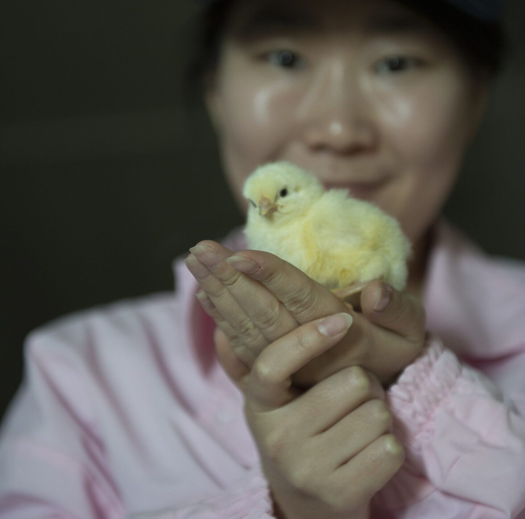 Hatchery- China