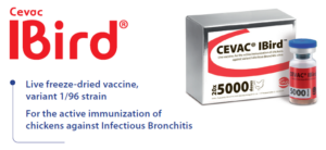 CEVAC® IBIRD