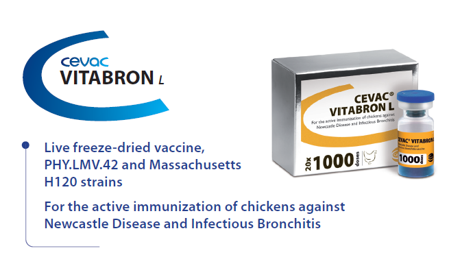 CEVAC® VITABRON L