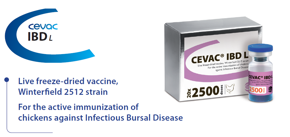 CEVAC® IBD L