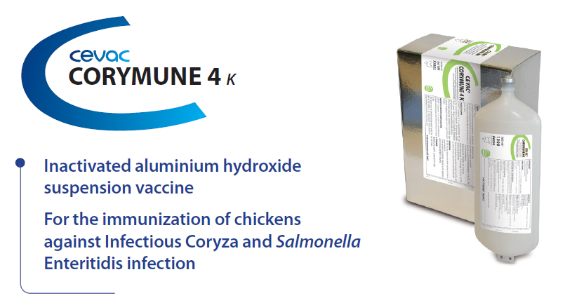 CEVAC® CORYMUNE 4 K