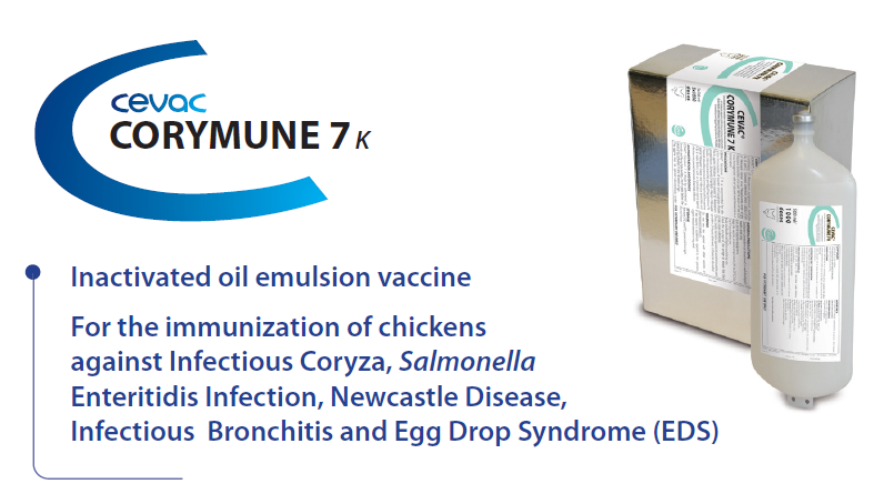 CEVAC® CORYMUNE 7 K